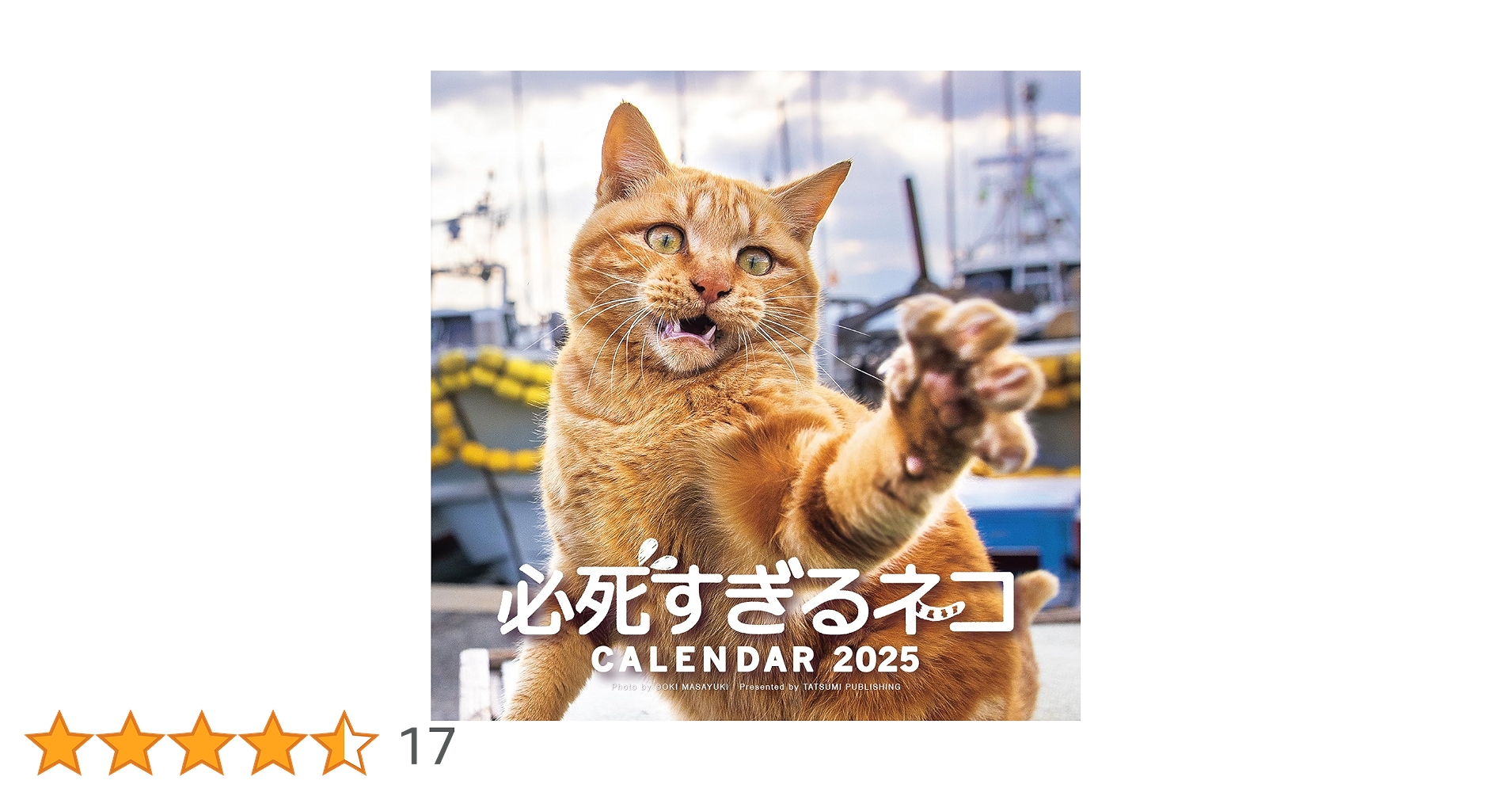 Amazon.co.jp: 2025必死すぎるネコカレンダー ([カレンダー