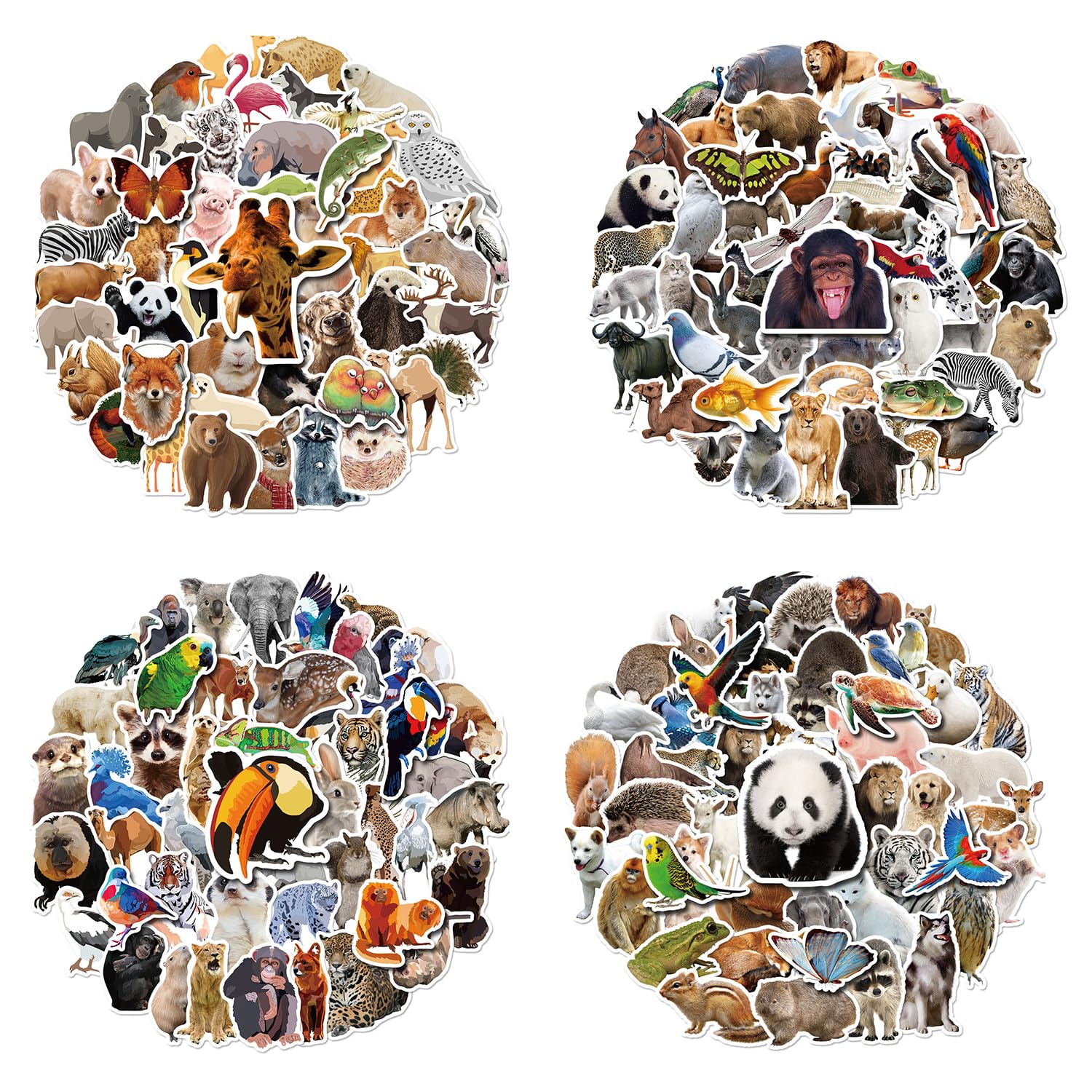 Bojueshaw 200pcs Waterproof Wildlife Animal Stickers, Realistic Animal Stickers for Teachers, Kids, Students, Water Bottle, Laptop, Scrapbook