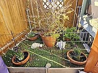 Review Image by Venus Venus