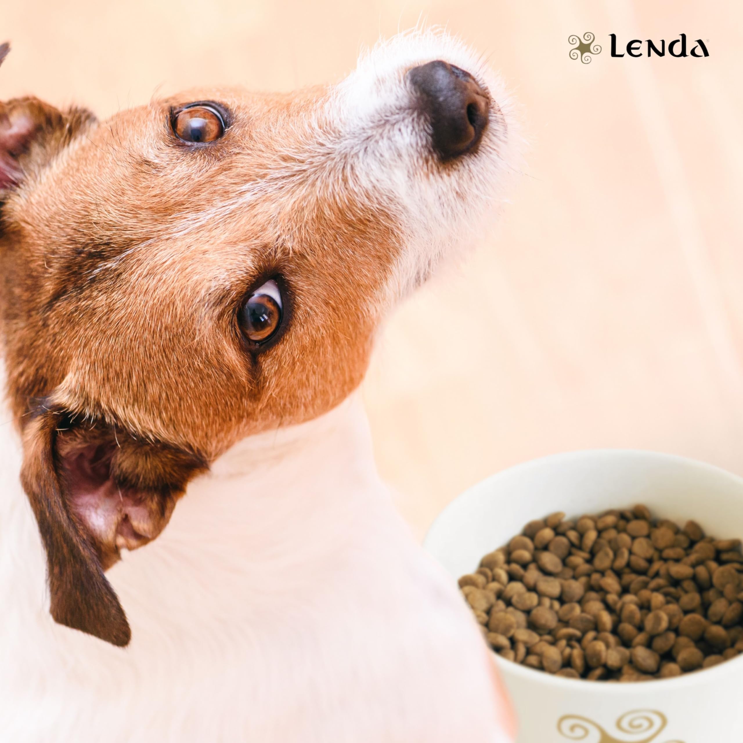 Lenda Light 12 kg - Crocchette Cani light per Adulti in Sovrappeso o Tendenza a Ingrassare - Cibo per Cani a Basso Contenuto Calorico - Ideale per Cane Sterilizzati - Con condroprotettori e Probiotici