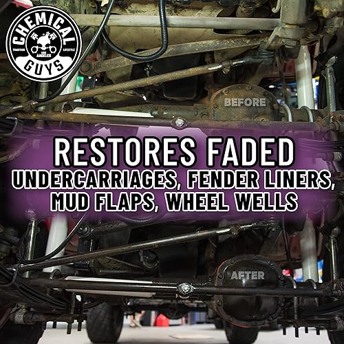 Miniatura 3 de Chemical Guys TVD_104_16 Bare Bones Spray para el tren de aterrizaje (16 oz)