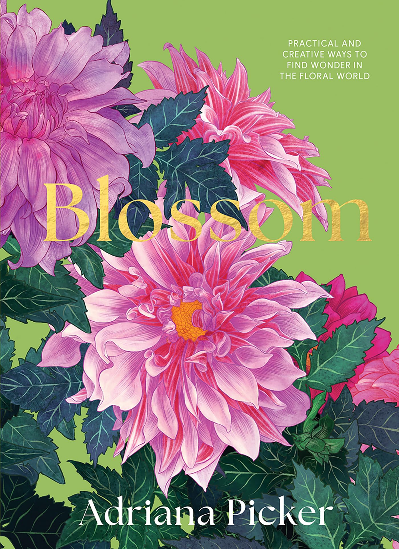 Blossom by Adriana Picker - 9781743798638