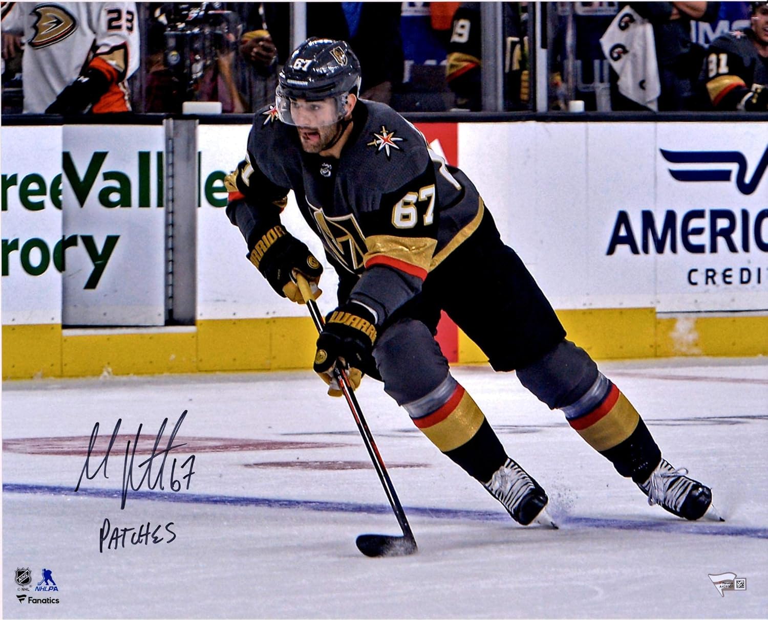 max pacioretty signed jersey