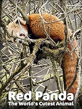 A lange sohne forum Clearance