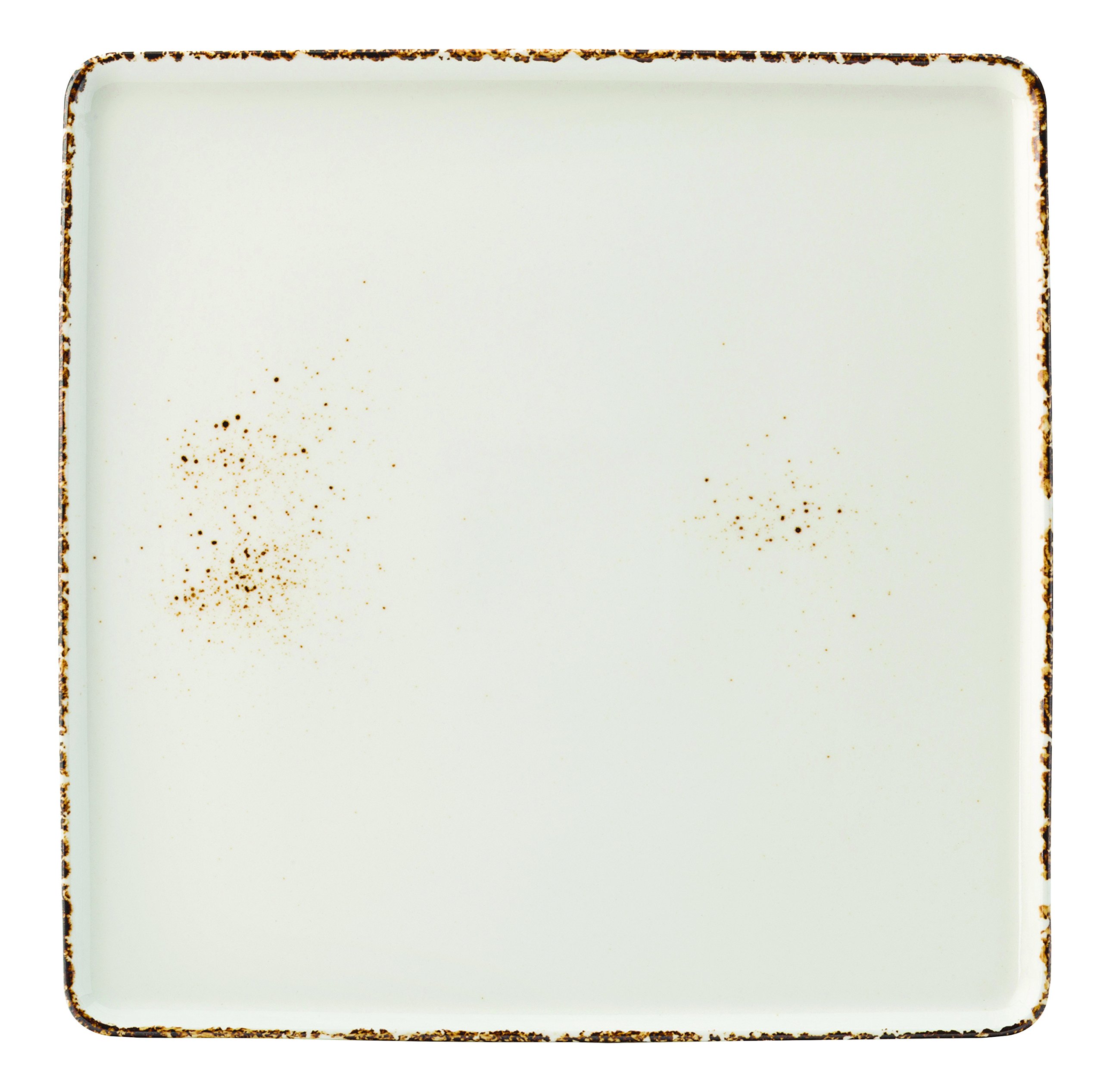 Umbra Square Plate Set Brown Rims Dinner Desserts Plate 10"" (25.5Cm) Pack Of 6