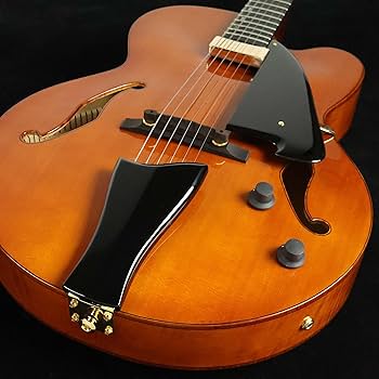 Amazon.co.jp: Ibanez AFC151-DA Artcore Series Full Hollow