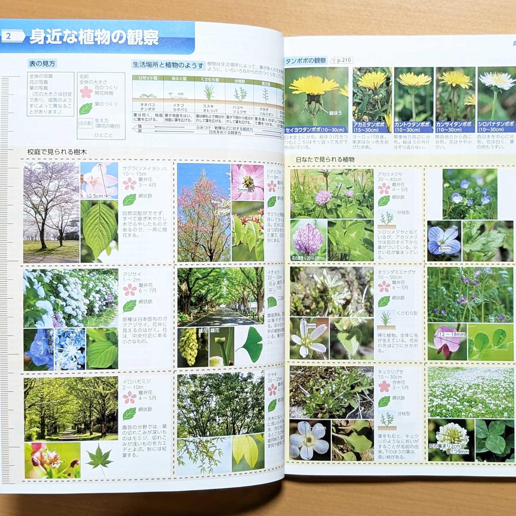 Amazon.co.jp: 2026年度版「グラフィック 理科資料集【教師用