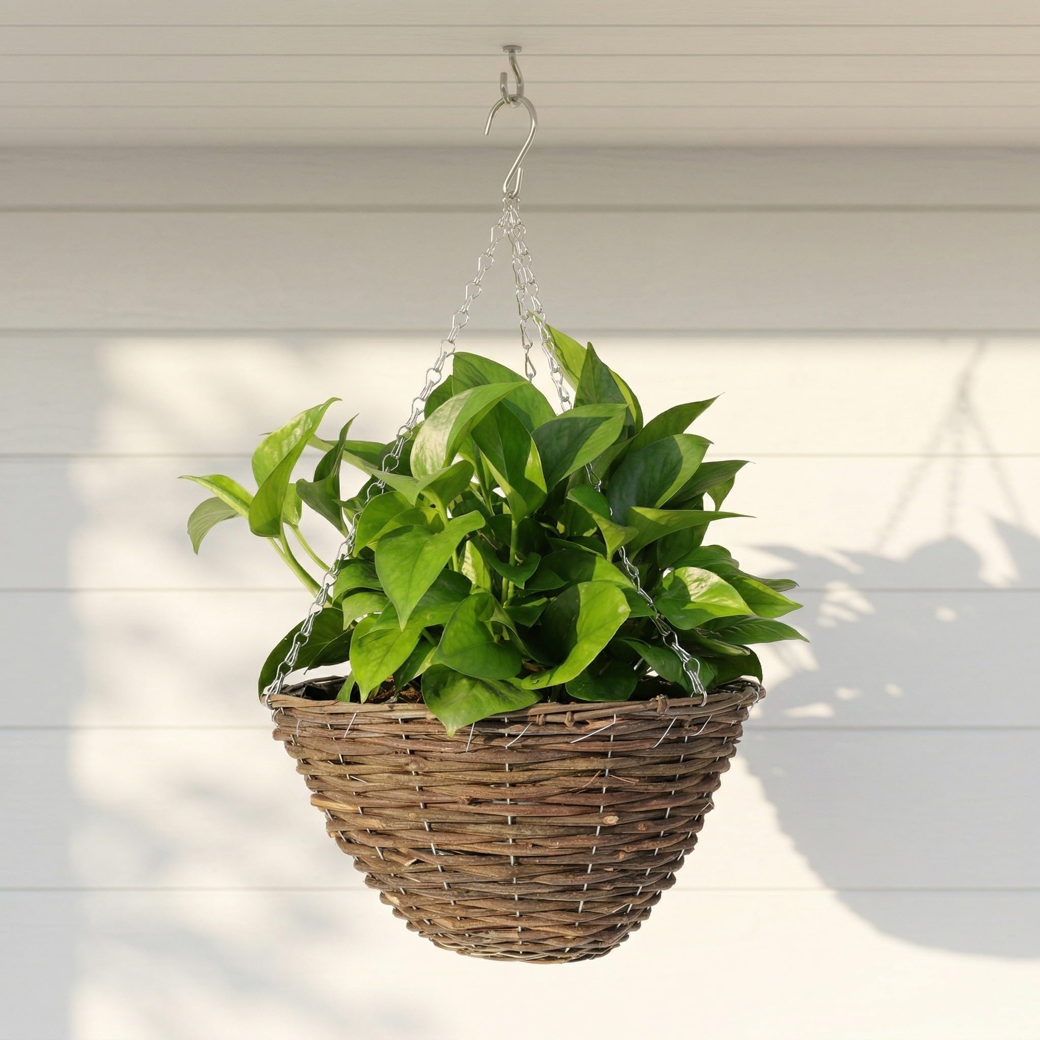 2 Stück Hängeblumentopf aus Rattan mit Metall Schwarz für Pflanzen