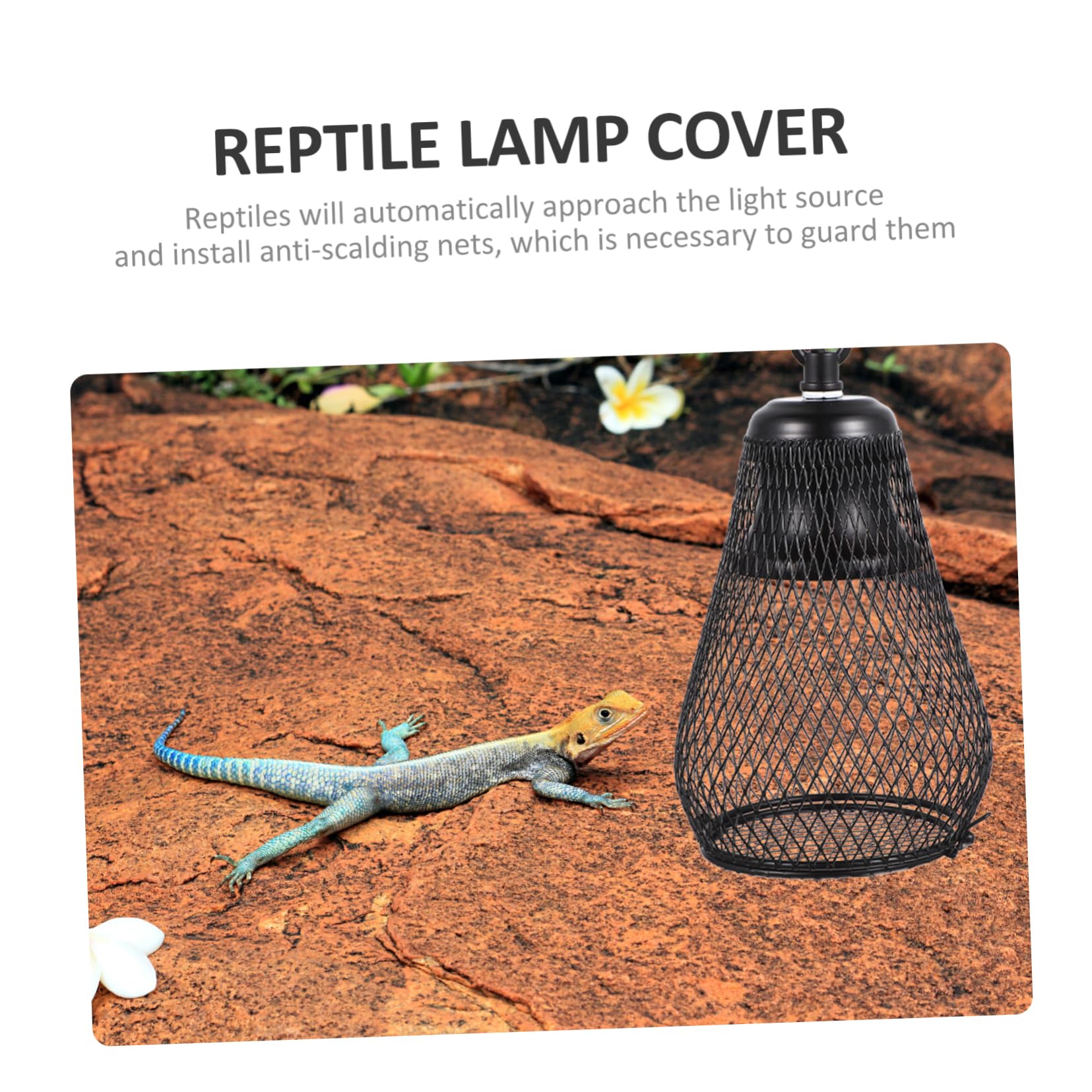 COLLBATH Couverture De Lampes Chauffantes pour Reptiles Antibrûlure Compatible avec Tortues Lézards Hamsters Accessoire pour Terrarium