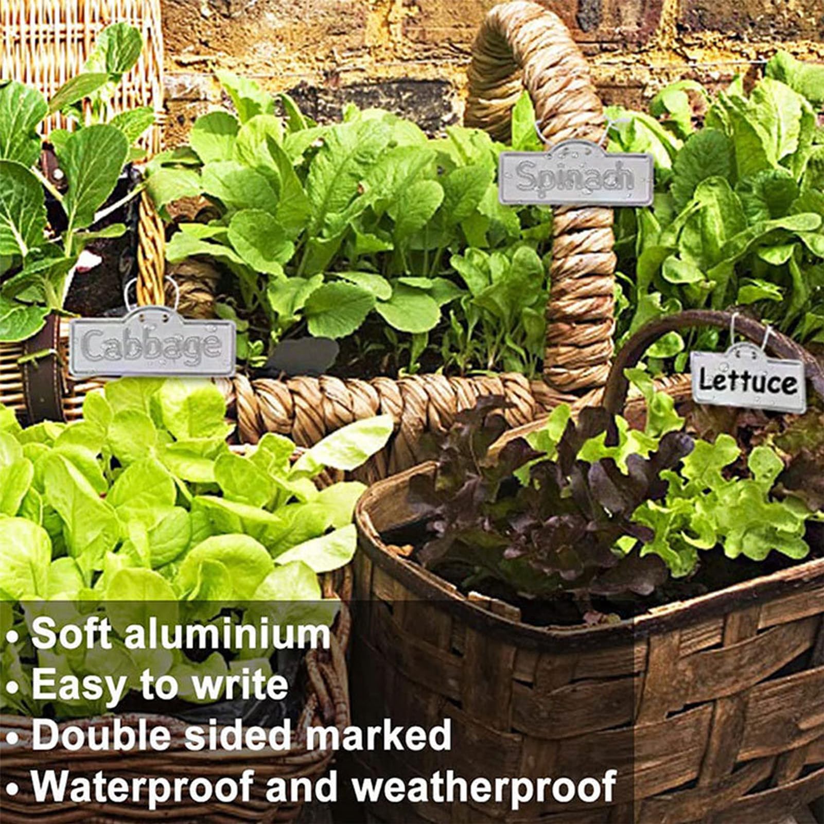 Étiquettes de Plantes en Aluminium, 100 Pièces étiquettes et Panneaux de Plantes Horticoles de Jardinage Imperméables, écriture Extérieure sur des Marqueurs de Plantes pour