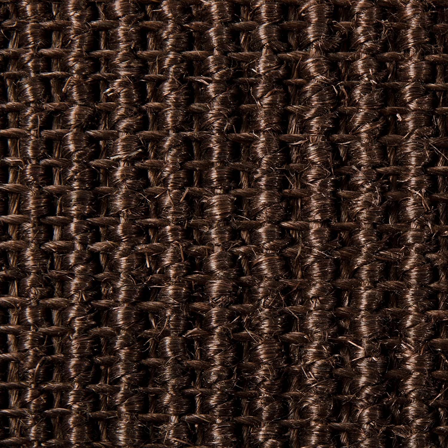 Floordirekt 100% Reiner Sisal Teppich Amazonas mit Bordüre in verschiedenen Größen (200 x 290 cm)