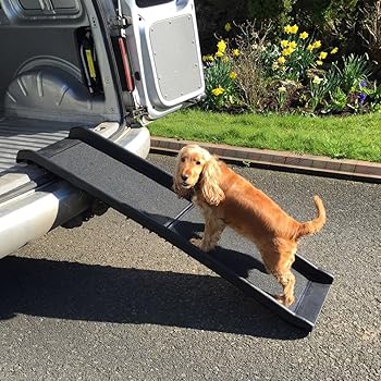kurgo dog ramp