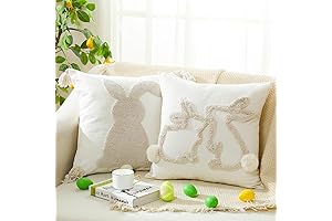 2 Pack Happy Easter Throw Pillow Covers Bunny Rabbit Pillowcase for Spring