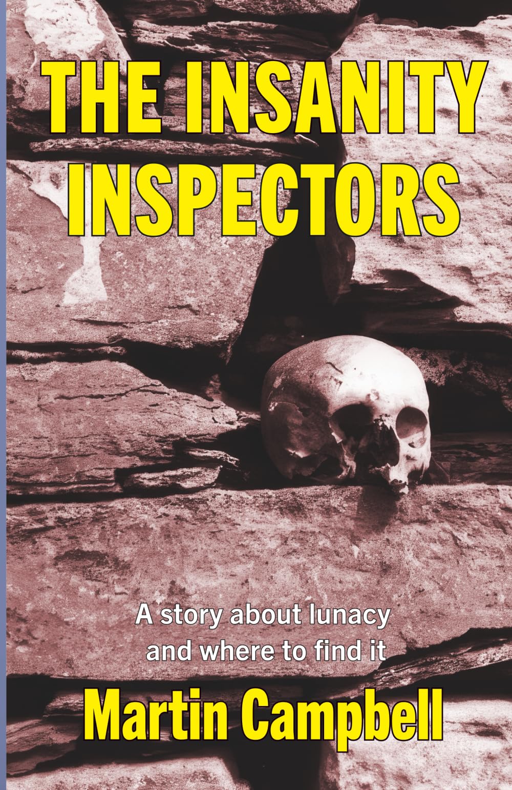 The Insanity Inspectors: A story about lunacy and where to find it