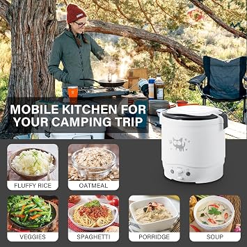 Mini Rice Cooker, 12V 100W 1L Portable Electric Multifunctional Rice Cooker Food Steamer Meal Heater Food Warmer for Travel (White)