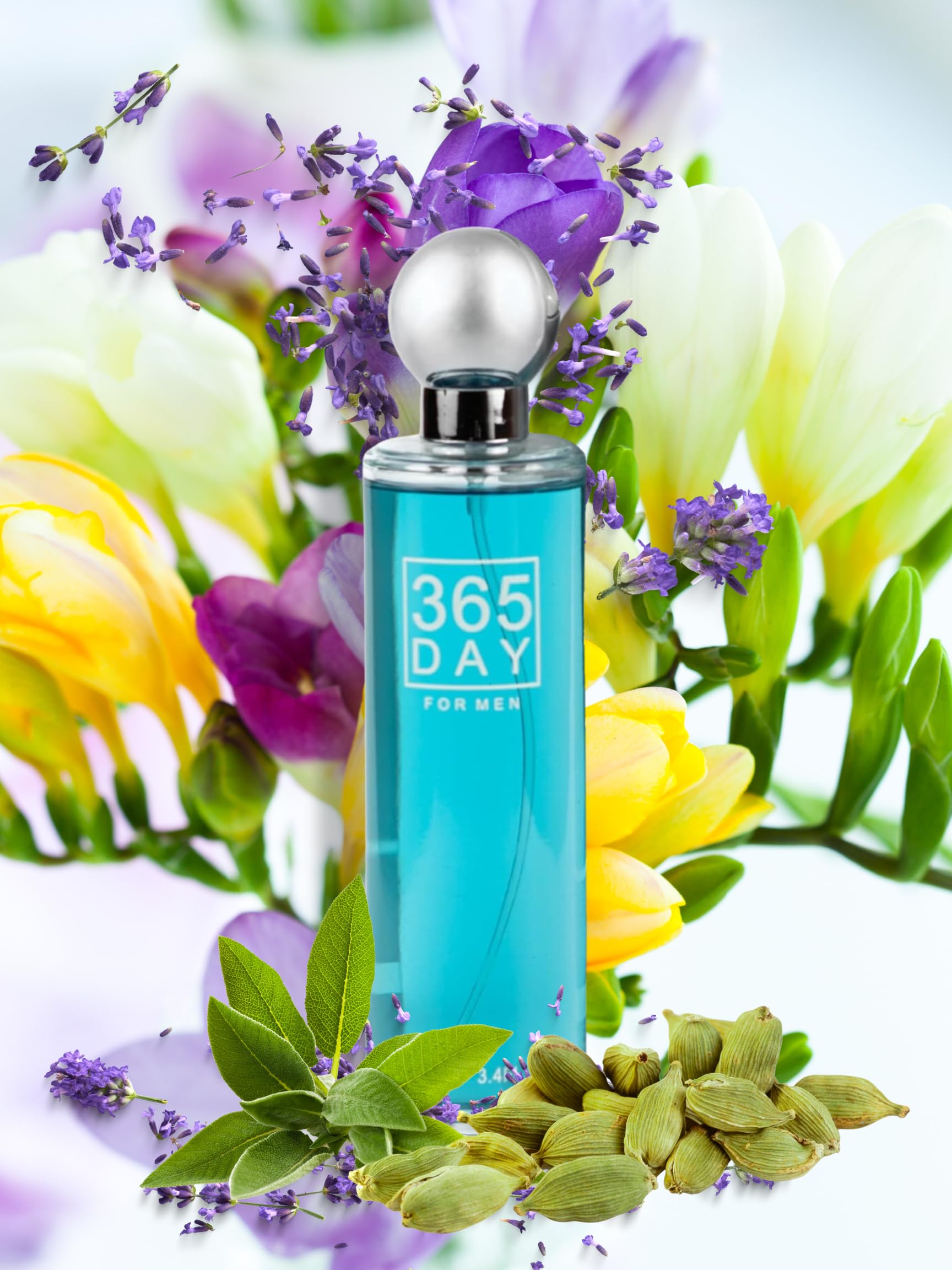Amazon.com : 365 DAY FOR MEN EAU DE TOILETTE 3.4 FL. OZ Aromatic