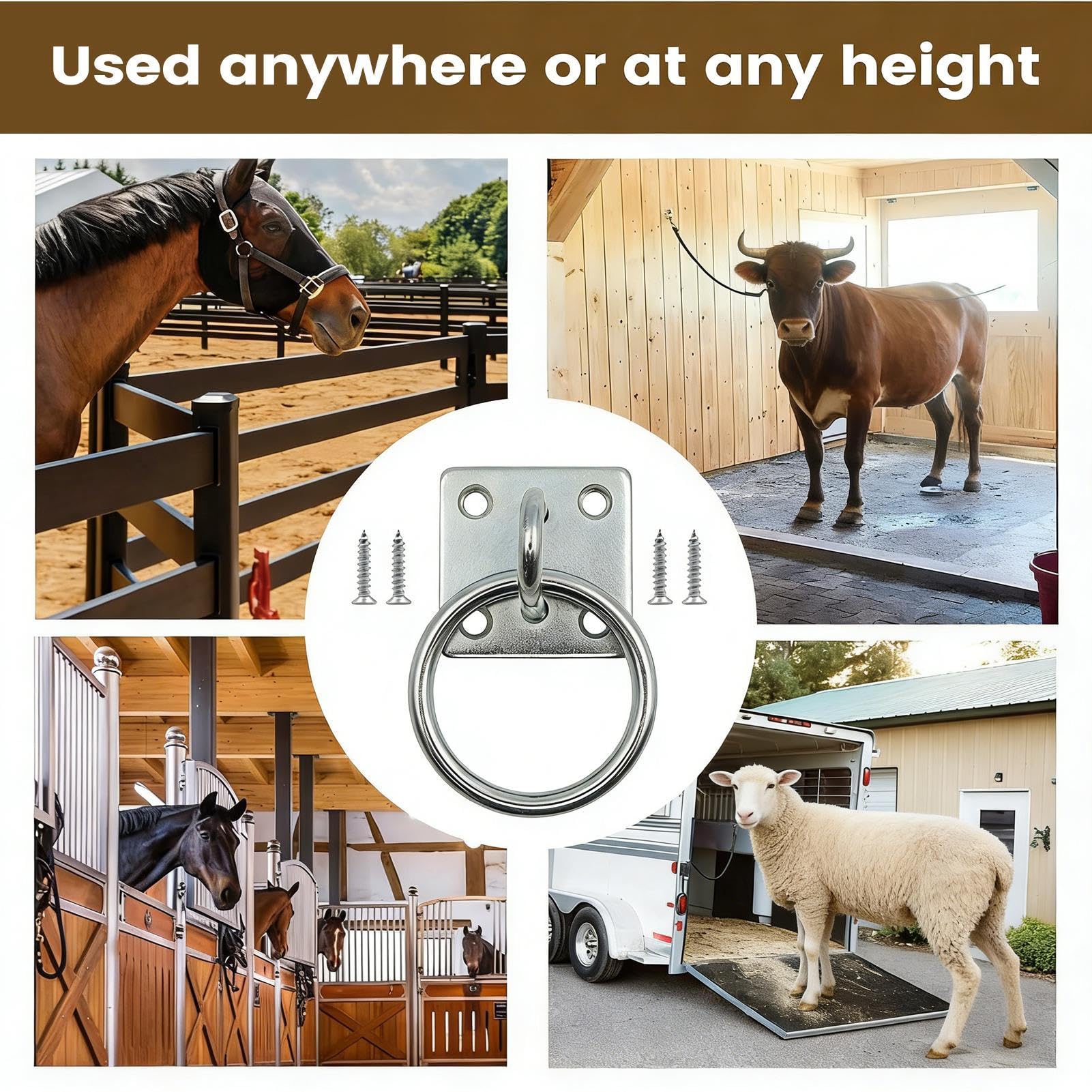 Fijación para arneses de caballo | de amarre cuadrado para pared | Equipo y accesorios para caballos - para Montaje, Entrenamiento, Atar, Acicalado, Cabestro de Remolque