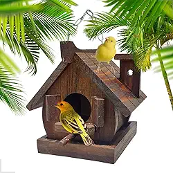 Casinha De Passarinho Livres Silvestres Madeira Tratada Eco