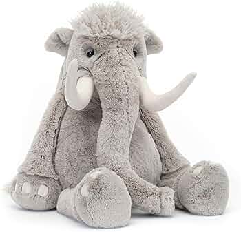 81BoCYzqJ8L._AC_UF350,