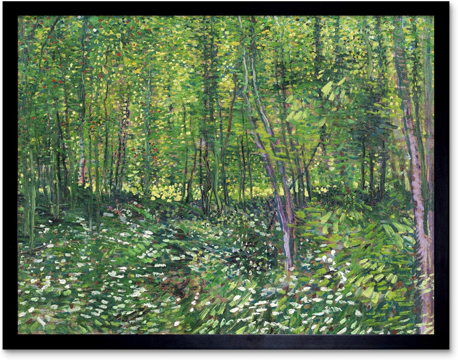 Vincent Van Gogh Trees And Undergrowth Art Print Framed Poster Wall Decor 12x16 inch