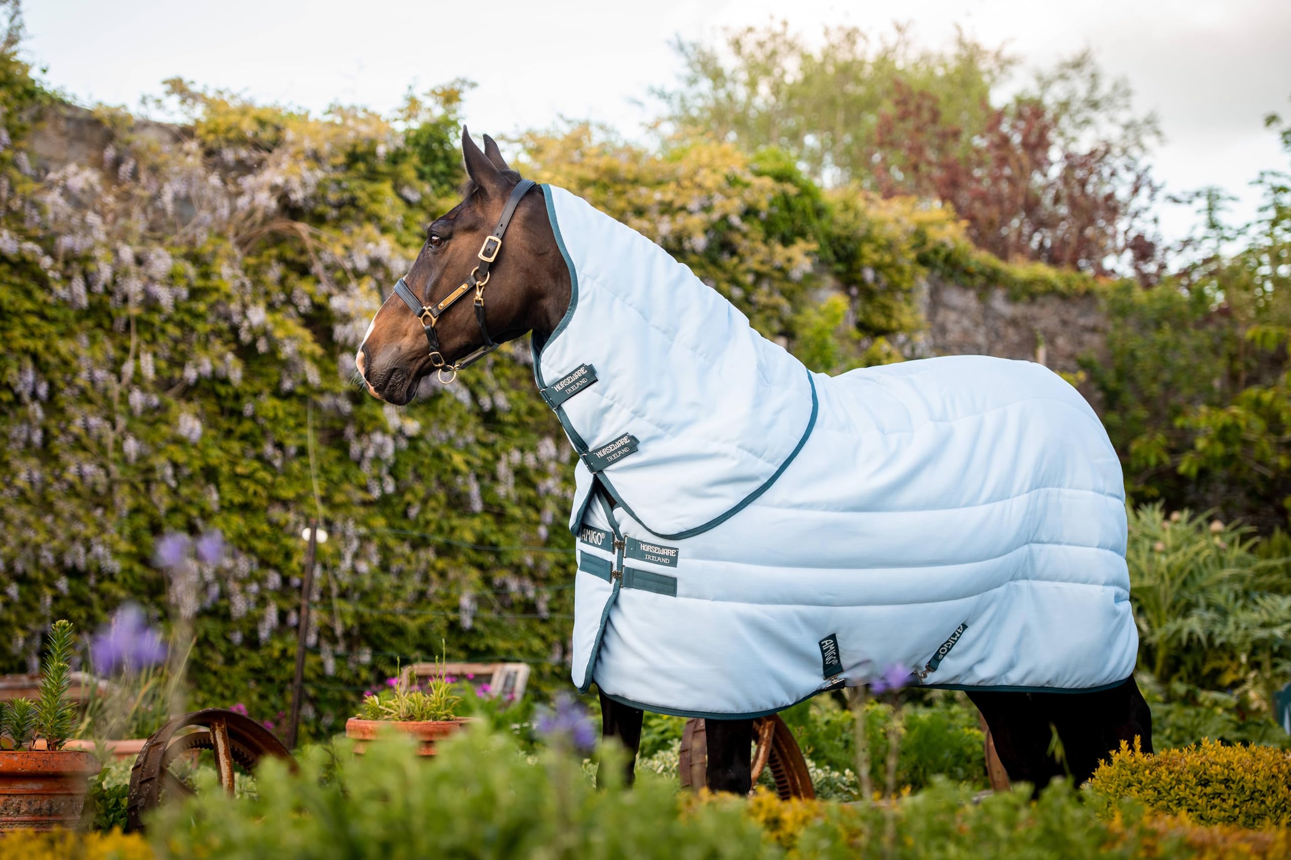 Couverture Horseware Amigo Stable Plus 200g évite les frottements