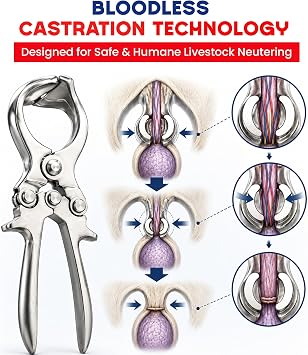 9 Stainless Steel Bloodless Castration Tool for Livestock Durable Emasculatome for Goats, Sheep, Calves, Horses Veterinary Neutering Tool