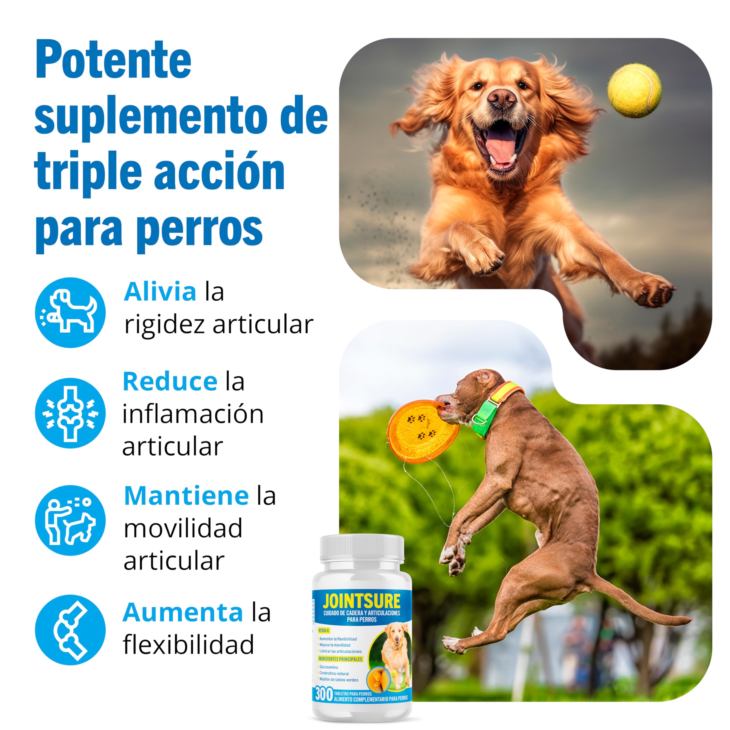 JOINTSURE condroprotector Perros I con Gran concentración de mejillon Labios Verdes, glucosamina y condroitina Natural I suplemento antiinflamatorio para articulaciones I 300 Comprimidos