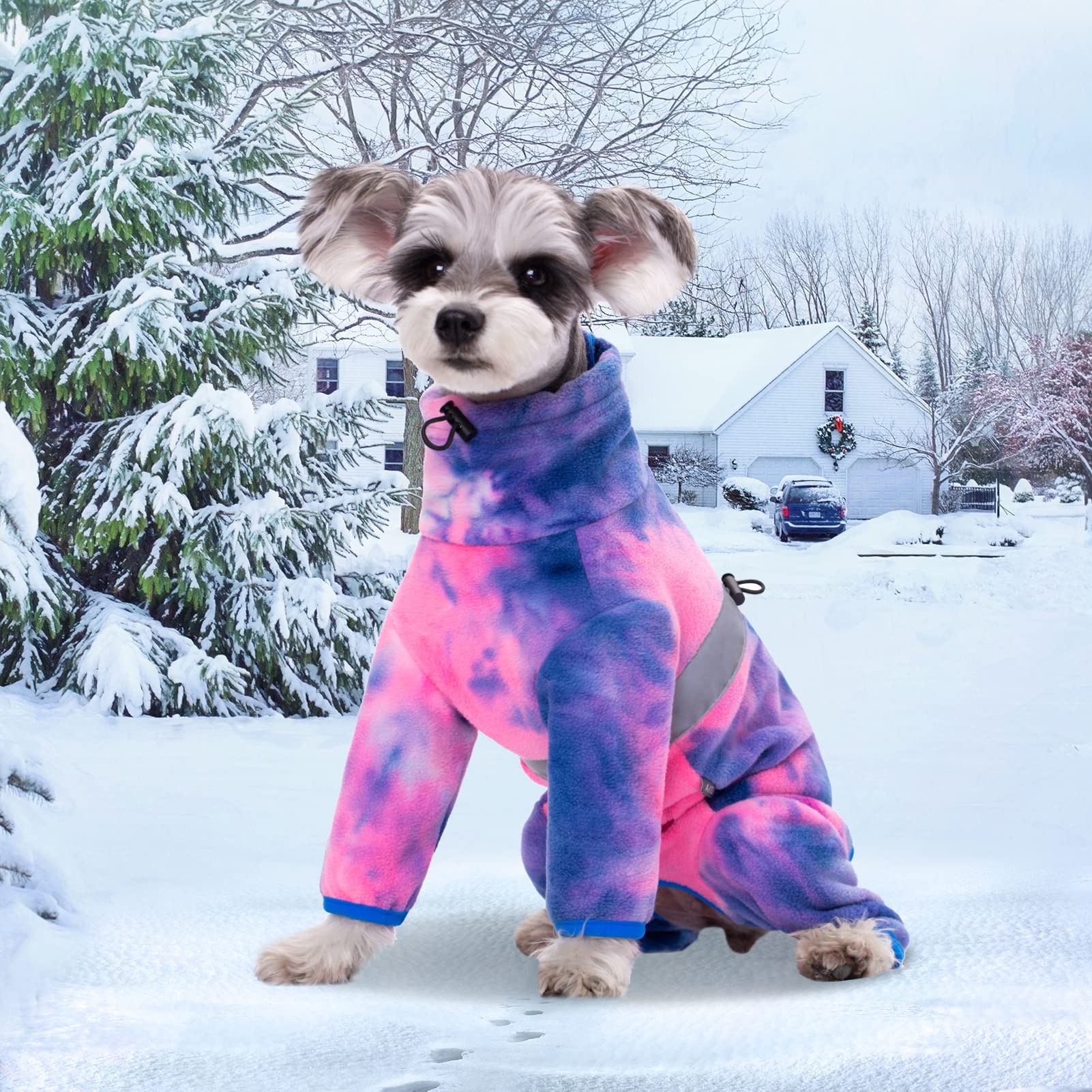 Polarfleece-Hundebody Für Kleine & Mittlere Hunde – Wärmend, Mit Reißverschluss, Reflektierend