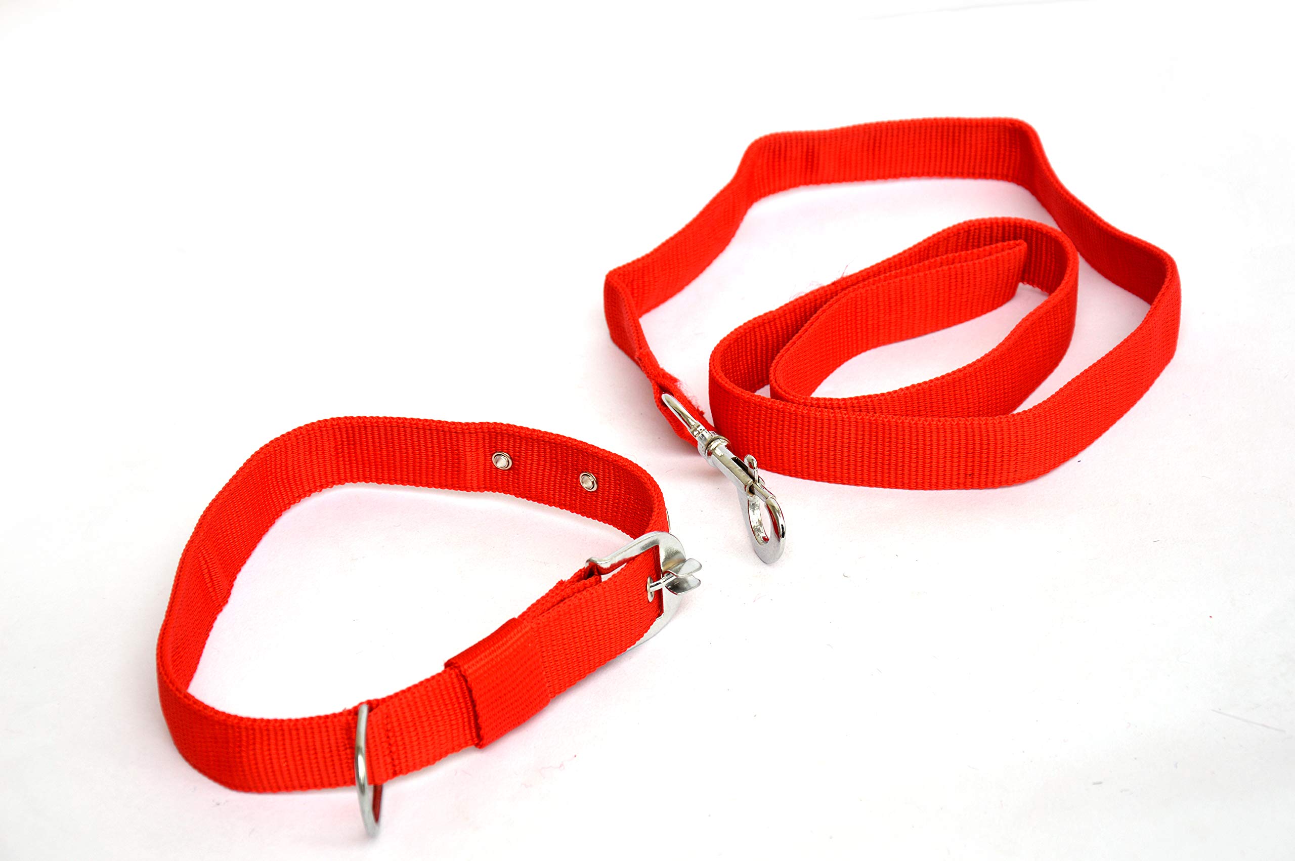 Dogista pet Products Dog pp Leash Collar Set 1.50 (Color May Vary), Extra Large (B0846K9NM2) Amazon Price History, Amazon Price Tracker