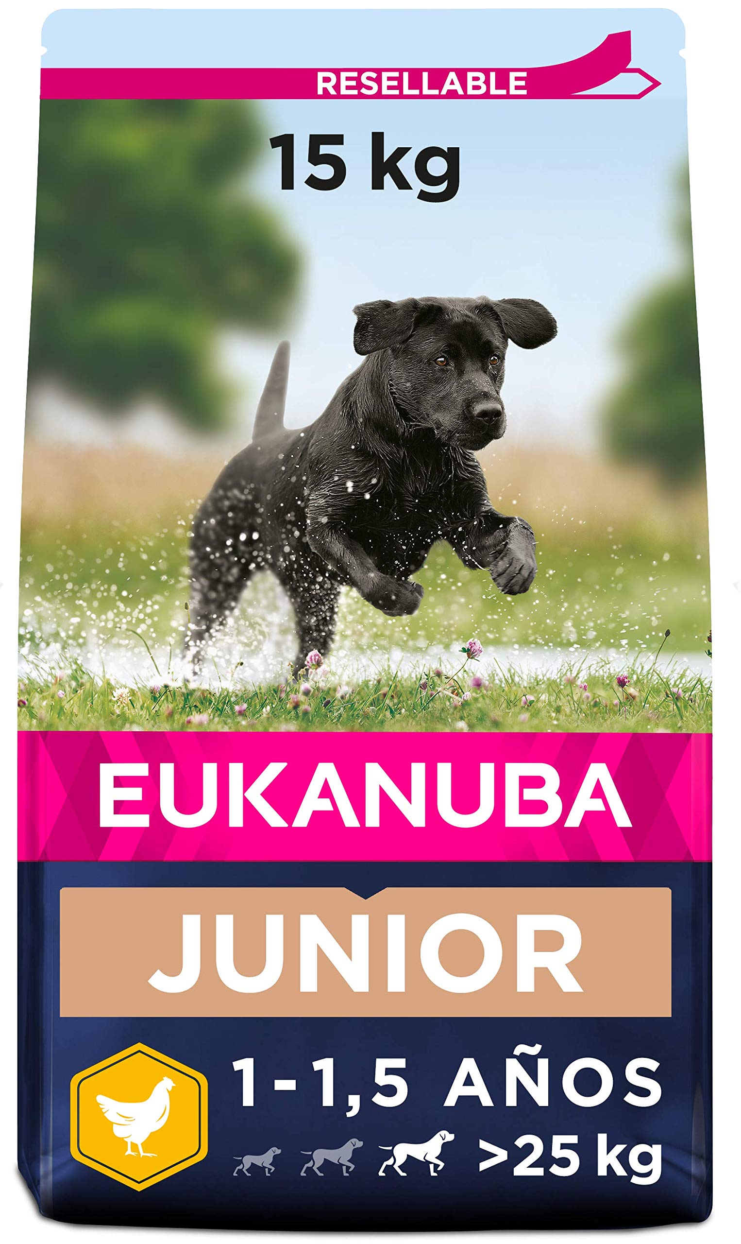 Eukanuba Alimento seco para perros jóvenes de raza grande, rico en pollo fresco 15 kg