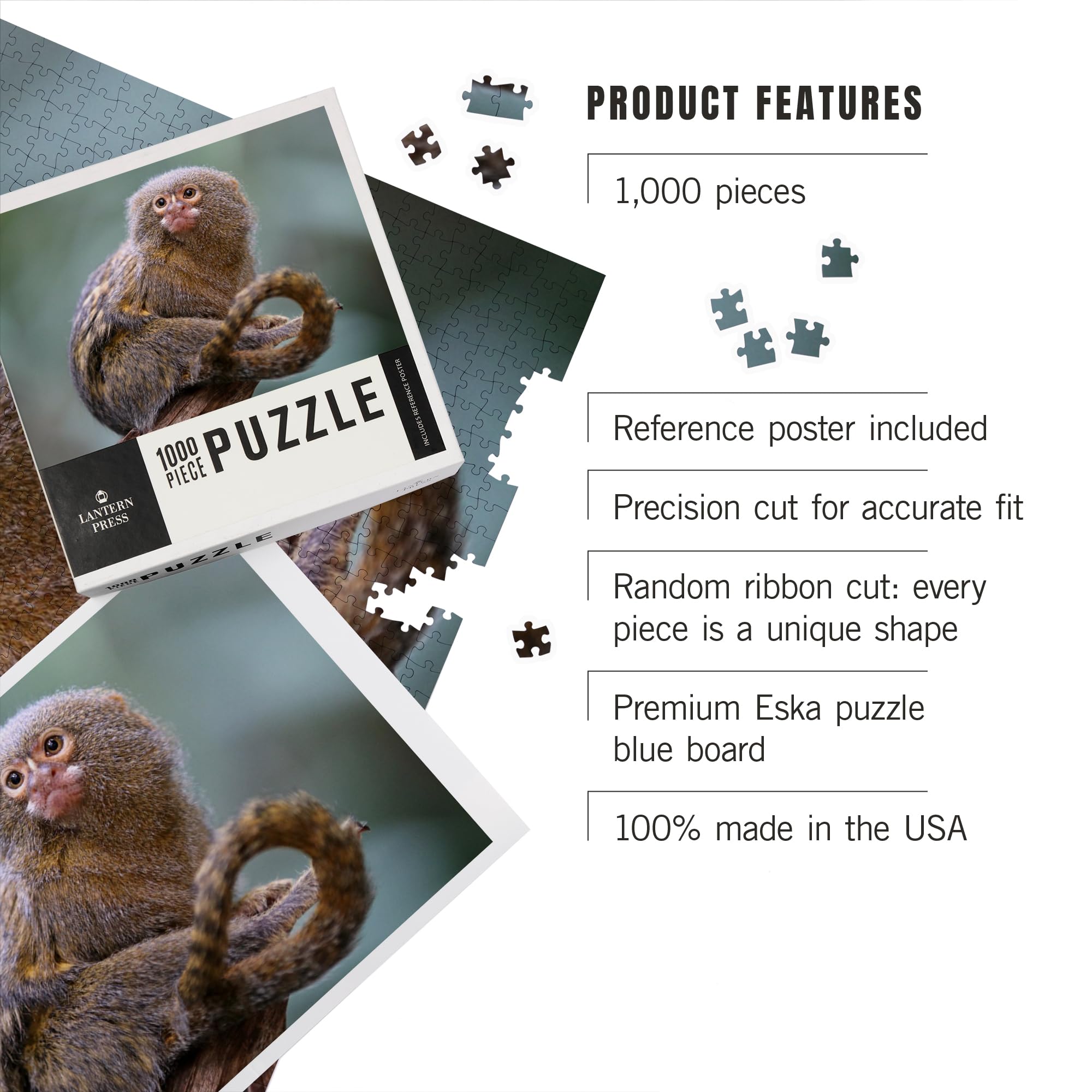 Amazon.com: Lantern Press Pygmy Marmoset Monkey 1000 Piece Jigsaw