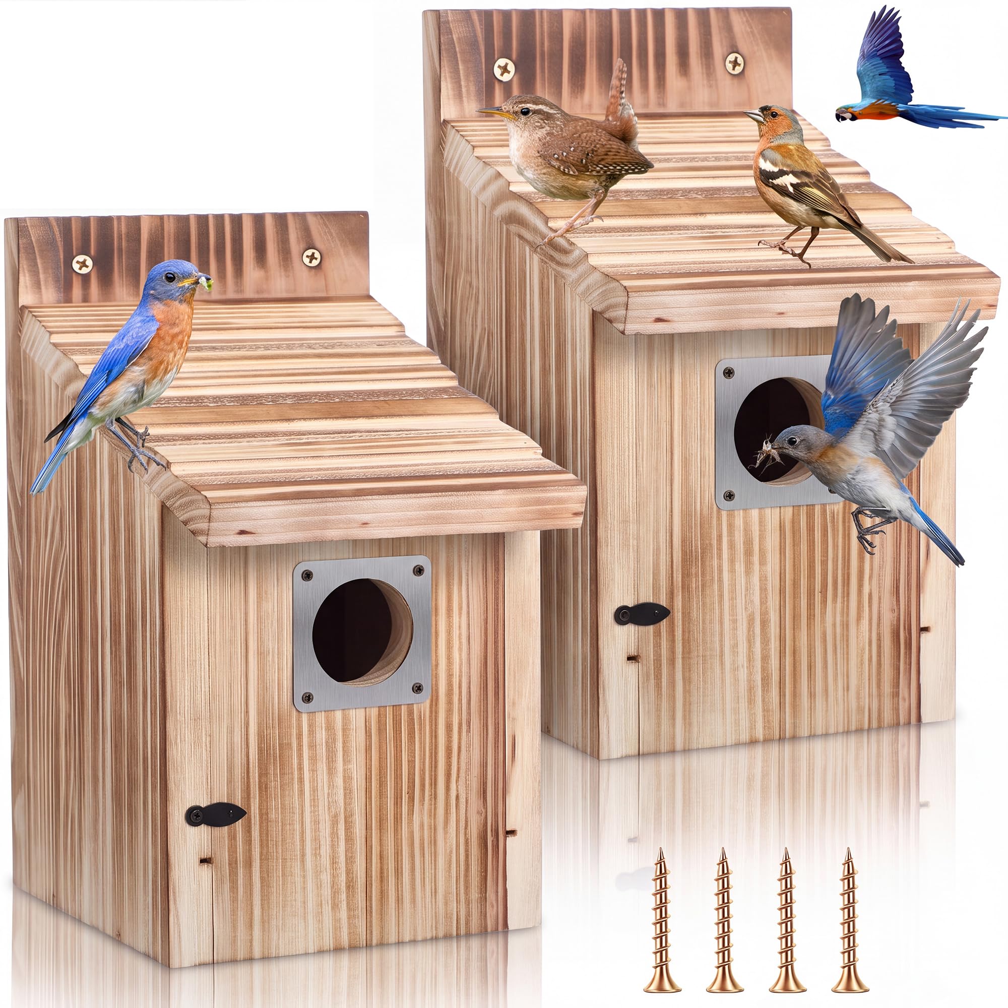 【CALMA STOR】BIRD HAUS UNAK H.A.K.U MAICO Amazon.com : Dreyoo Bluebird Houses for Outside, 1-1/2” Entrance