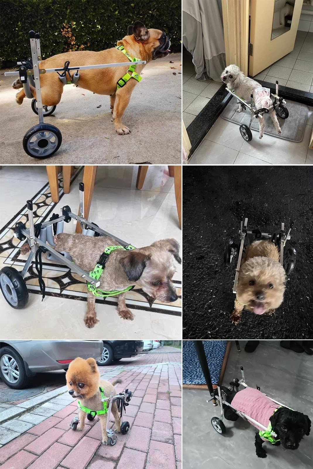 Regulowany wózek inwalidzki dla tylnych nóg – pomoc w poruszaniu się zwierząt domowych dla psów rannych i niepełnosprawnych zawiera podpórki na nogi i ortezę biodrową, idealna dla małych psów
