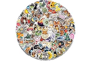 AOWDIAO: 150 Pcs Aesthetic Stickers That Will Elevate Your Style