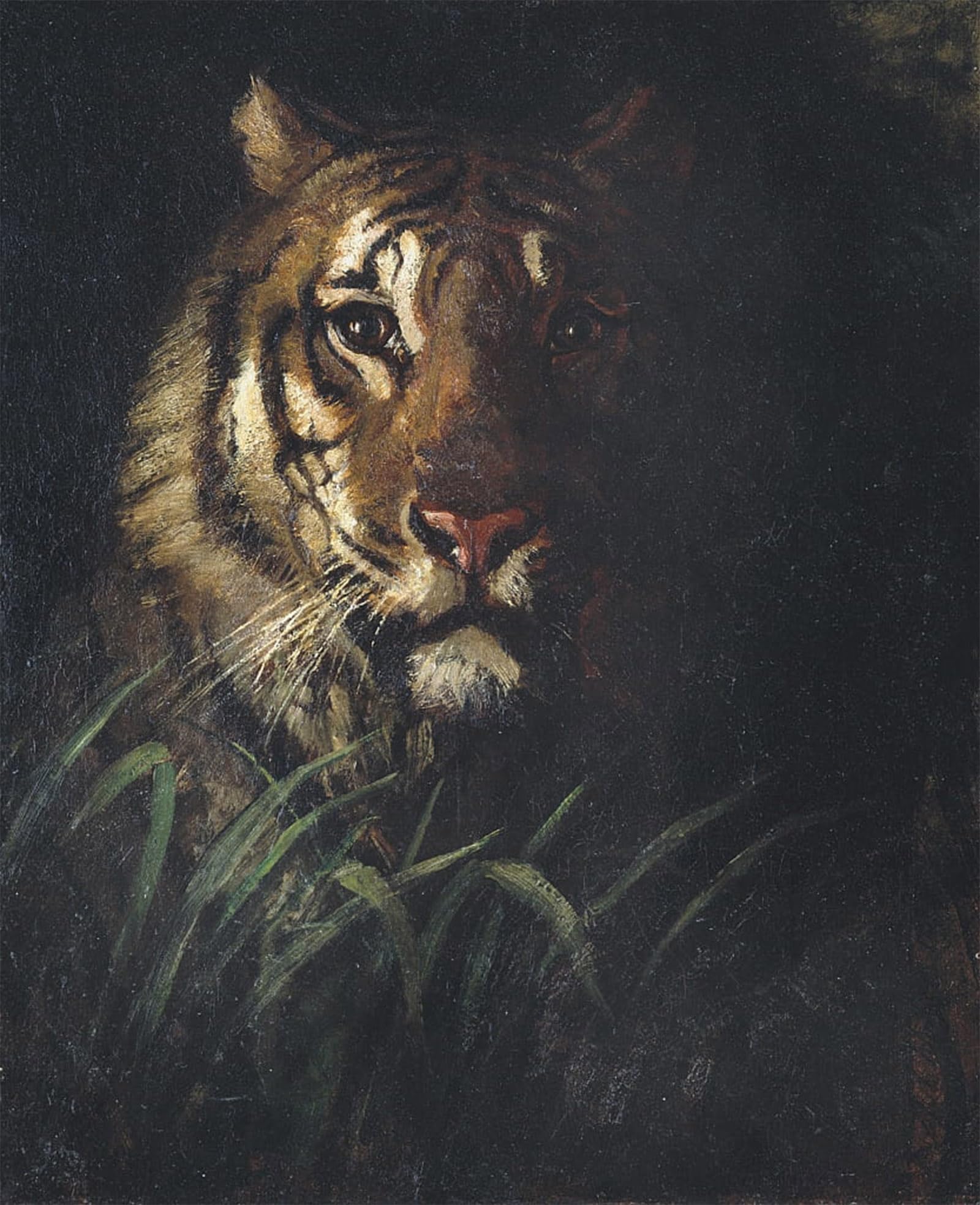ARTXLXXBN Famous Prints Artwork Pictures Poster Painting Art Tiger's Head by Abbott Handerson Thayer Artwork Landscape Pictures for Home Decor 60x90cm