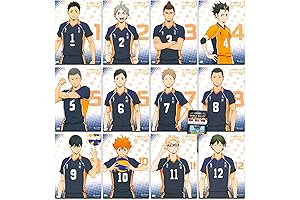 Haikyu!! Poster Pack Bundle - 12 Pack of Officially Licensed Anime Decorations:...