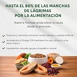 Ver la foto 3