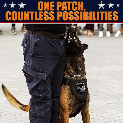 Miniatura 9 de Secret Squirrel Patch for Tactical Gear - Tactical Patches for Jackets with Hook & Loop Fitting, Funny Military Patches for Backpacks - Morale Patch