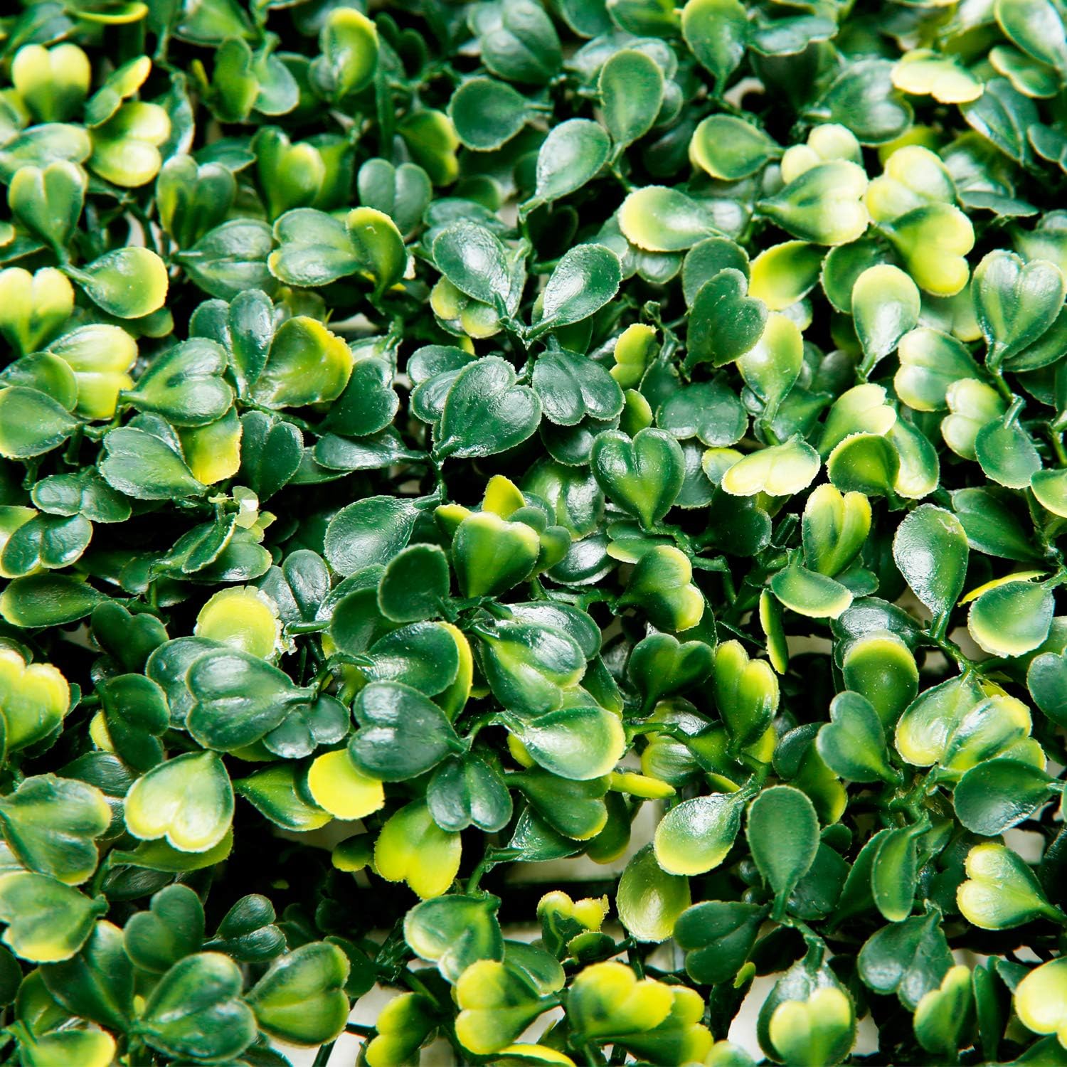 Newtion 14Pack 20"x20" 38.89 Square Artificial Boxwood Grass Backdrop Panels Topiary Hedge Plant, UV Protected Privacy Hedge Screen Faux Boxwood for Outdoor,Indoor,Garden,Fence,Backyard,Greenery Wall