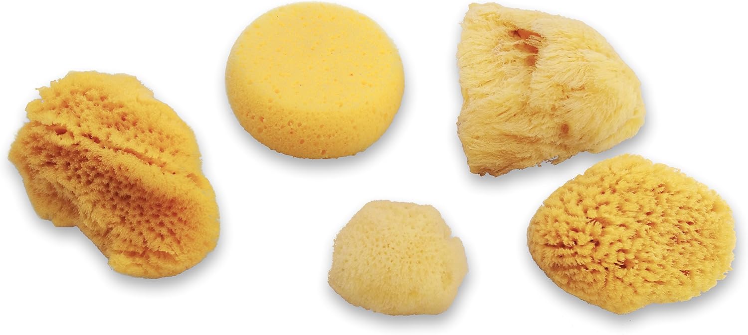 Natural Sea & Synthetic Sponges - Assorted Sizes 7pc Value Pack for Crafts & Artists: Great for Painting, Hobbies, Art, Effects, Ceramics, Clay, Pottery by Lullingworth