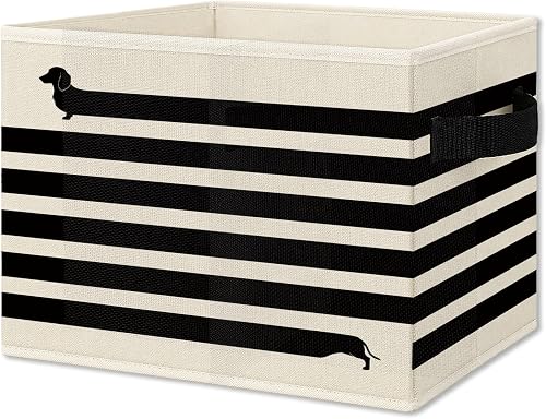 JMENGSSFL Funny Dachshund Dog Foldable Storage Bins Box with Handles, Dachshund 
