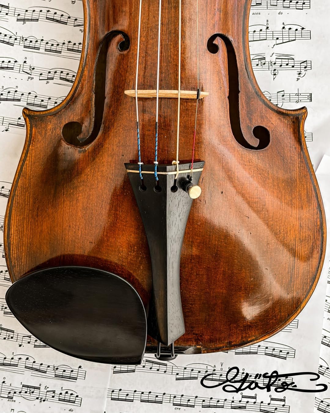 Conrad Götz, ZK-700G, YSA Mentonnière originale pour violon 4/4, ébène
