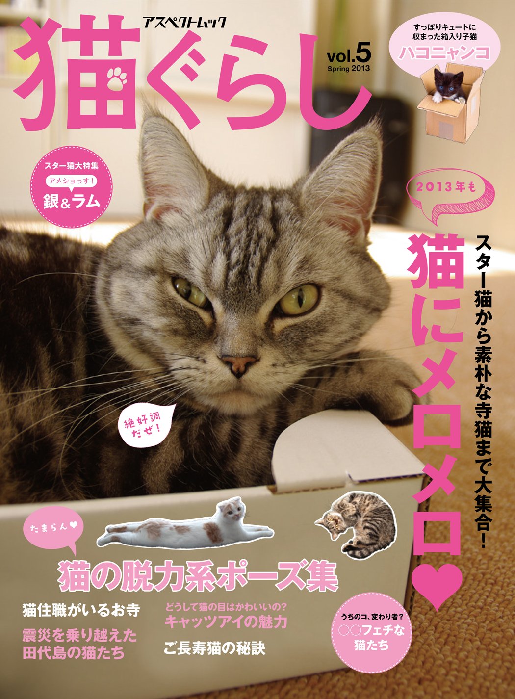猫ぐらし Vol 5 Spring アスペクトムック なし 本 通販 Amazon