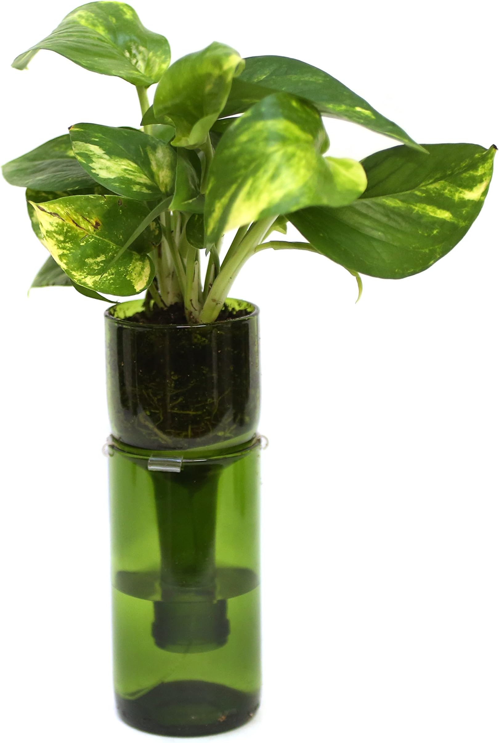 Refresh Glass Wine Bottle Self Watering Planter (Green)