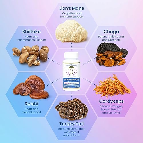 Miniatura 2 de ENCAPSULATE Mezcla de 6 hongos  Reishi, Chaga, cola de pavo, cordyceps, melena de león y extracto de hongo Shiitake 81  Suplemento de hongos