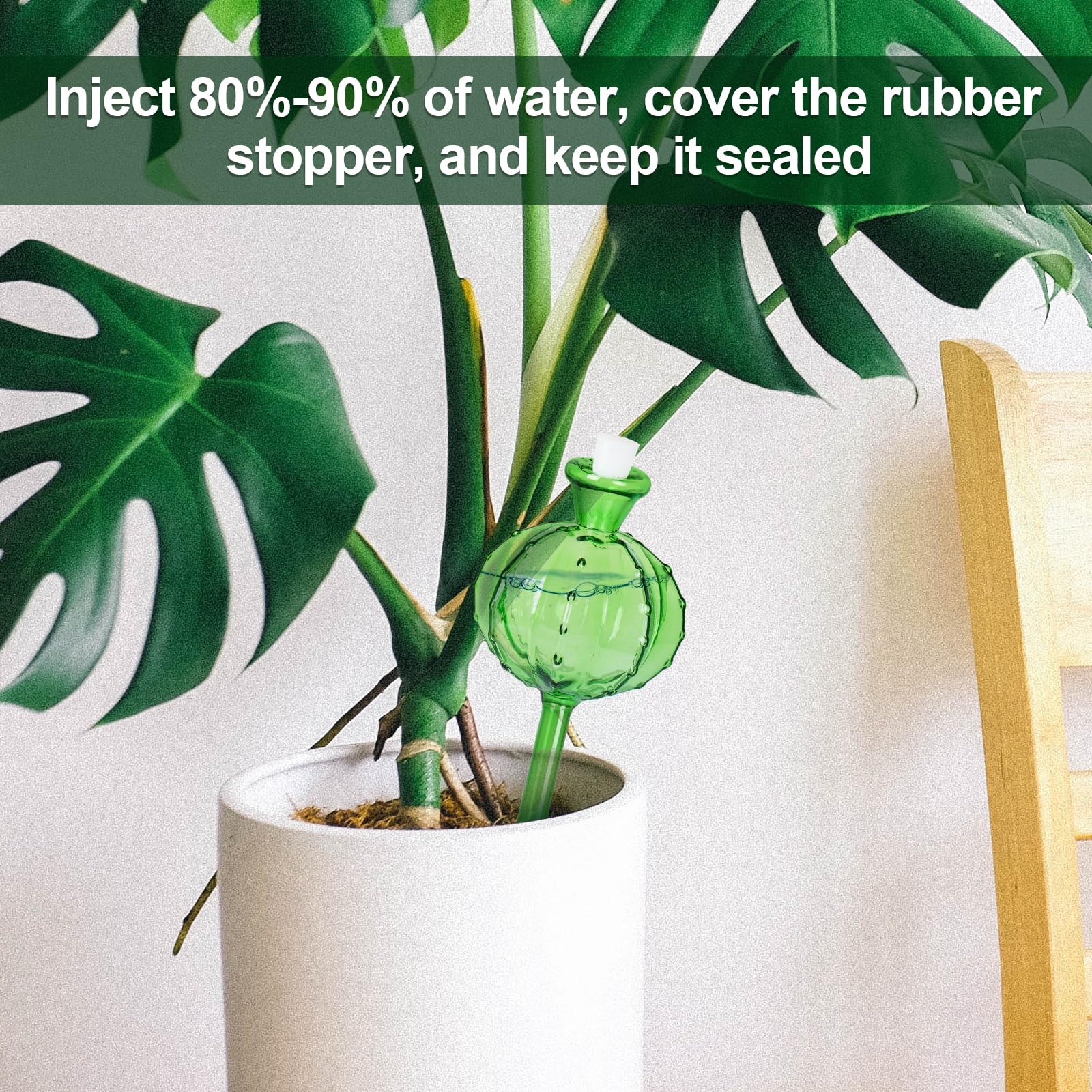 https://m.media-amazon.com/images/I/81BpDTNI6LL.jpg