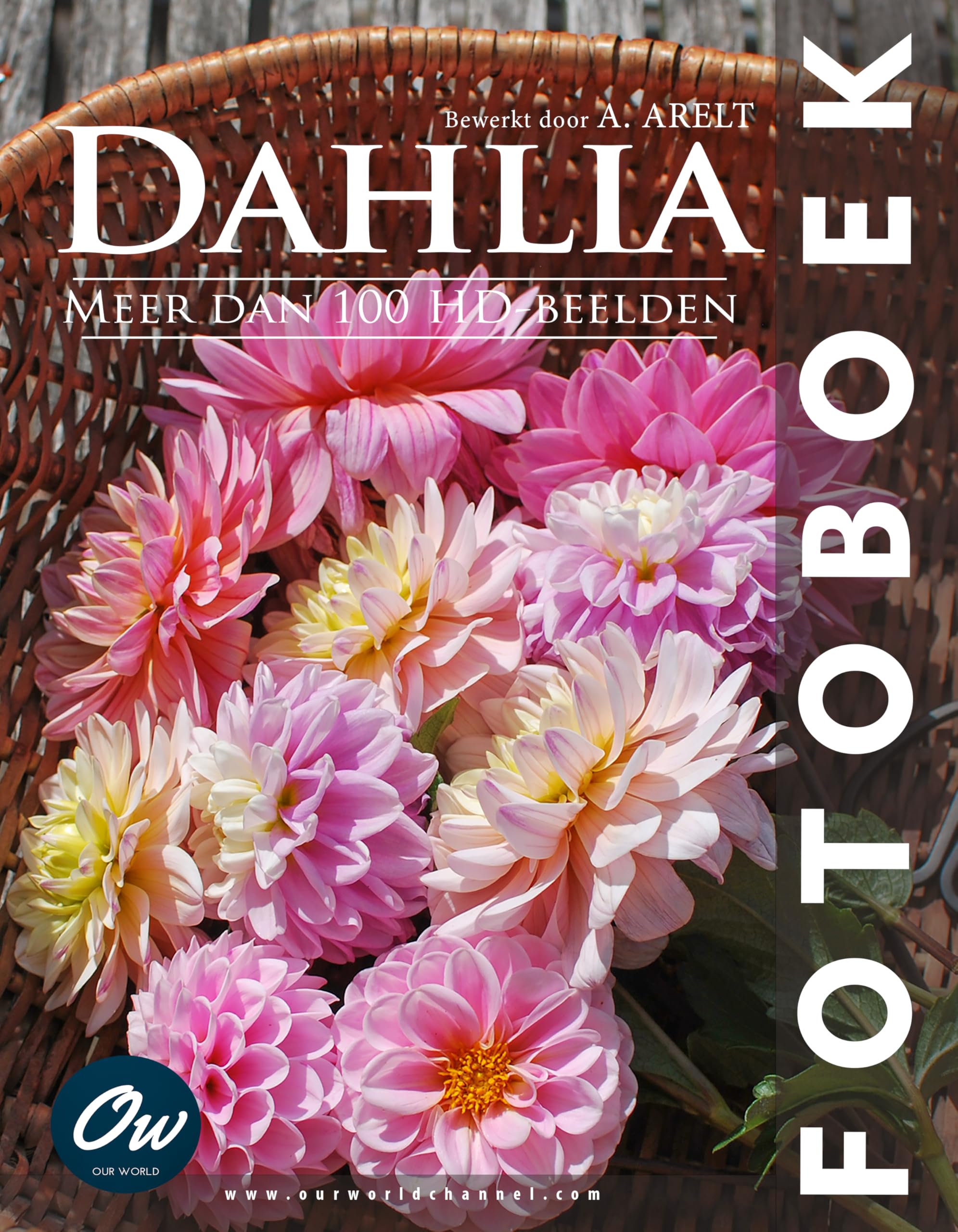 Dahlia Fotoboek album photo botanique et guide visuel fleurs