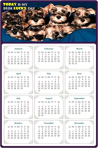 Calendario magnético 2024 Imanes del calendario Today is my Lucky Day Resistente a la decoloración, desgarros y agua Temática de perros 08 (5.25