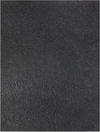 Fellowes AeraMax Pro 3/8 In. Carbon Filter With Prefilter (4-Pack - Foto 9