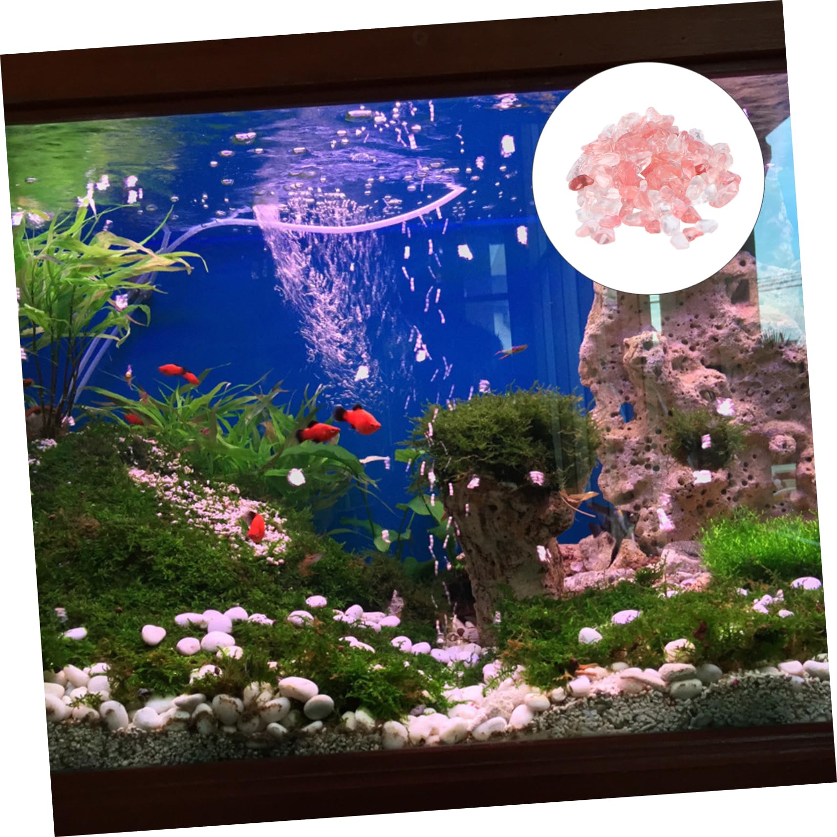 Amazon.co.jp: Ipetboom 100g天然クリスタルストーン 小石 水槽用石